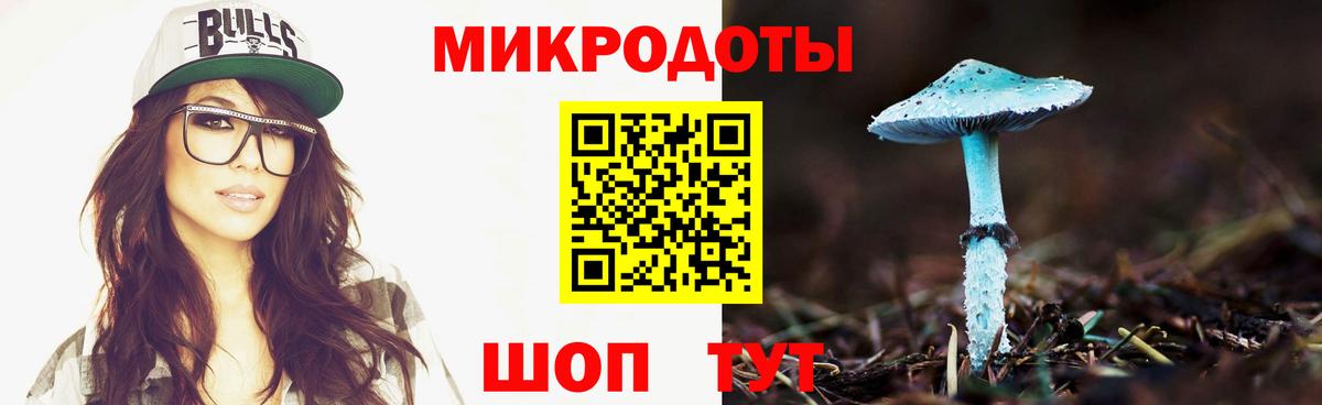 Псилоцибиновые грибы Psilocybe  Вход с VPN  Псилоцибиновые грибы Psilocybine cubensis  Тихорецк 